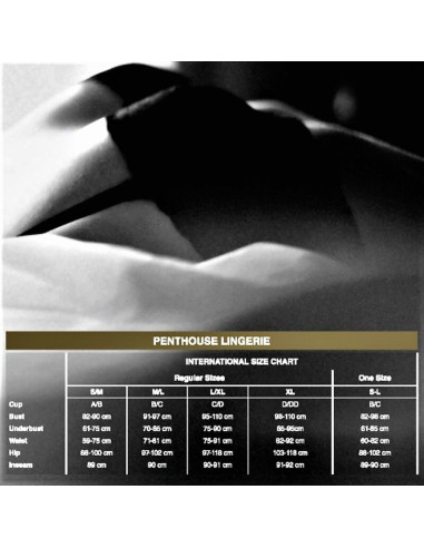 PENTHOUSE TOO HOT TO BE REAL THONG BLACK L XL
