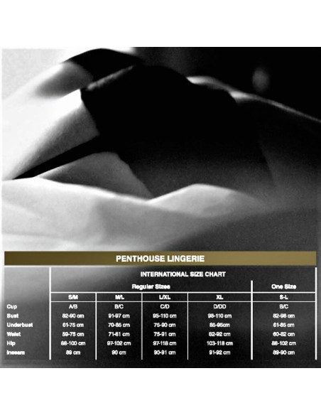 PENTHOUSE TOO HOT TO BE REAL THONG BLACK L XL