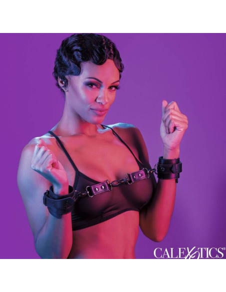 CALEXOTICS EUPHORIA ESPOSAS