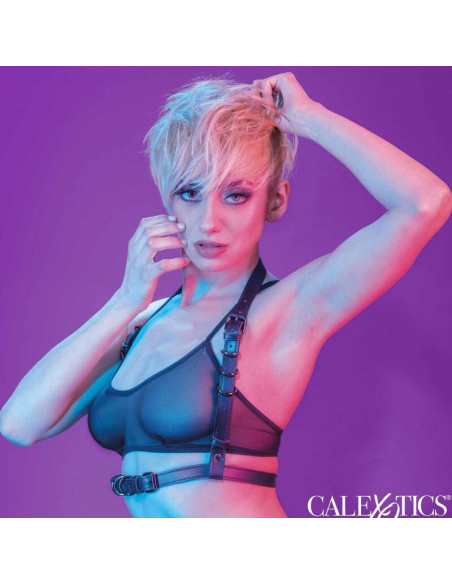 CALEXOTICS EUPHORIA ARNES HATLER CON HEBILLA NEGRO