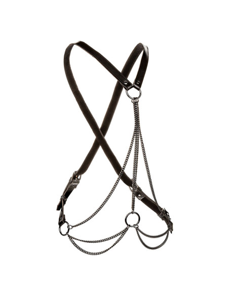 CALEXOTICS EUPHORIA ARNAS DE MALTIPLES CADENAS PREMIUM
