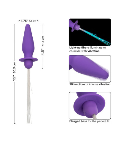 CALEXOTICS SOUTHERN LIGHTS LIGHT UP PLUG ANAL CON LUCES 10 VIBRACIONES SILICONA VIOLETA