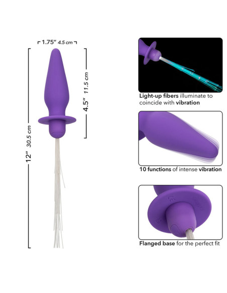 CALEXOTICS SOUTHERN LIGHTS LIGHT UP PLUG ANAL CON LUCES 10 VIBRACIONES SILICONA VIOLETA CALEXOTICS SOUTHERN LIGHTS LIGHT UP PLUG ANAL CON LUCES 10 VIBRACIONES SILICONA VIOLETA