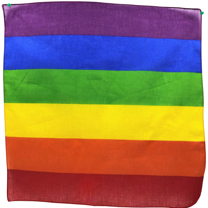 PRIDE PANUELO LGBT 50 X 50