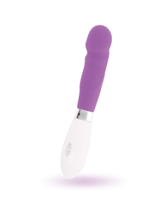 GLOSSY PAUL VIBRADOR LILA 2