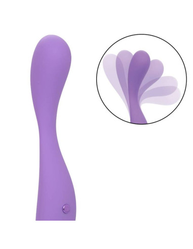 CALEXOTICS CONTOUR DEMI VIOLETA