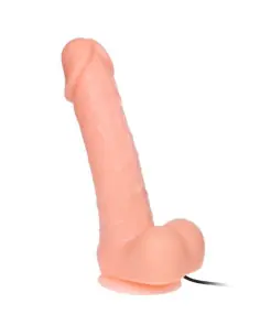 BAILE DONG DILDO REALISTICO VIBRACION Y ROTACION 20 CM