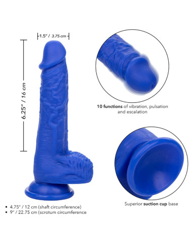 CALEXOTICS ADMIRAL SAILOR DILDO REALISTICO VIBRADOR AZUL