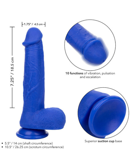 CALEXOTICS ADMIRAL CAPTAIN DILDO REALISTICO VIBRADOR AZUL CALEXOTICS ADMIRAL CAPTAIN DILDO REALISTICO VIBRADOR AZUL