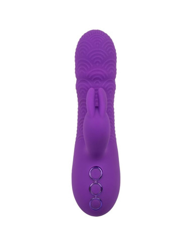 CALEXOTICS MANHATTAN BEACH MARVEL VIBRADOR RABBIT MORADO BY CALIFORNIA DREAMING