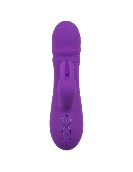 CALEXOTICS MANHATTAN BEACH MARVEL VIBRADOR RABBIT MORADO BY CALIFORNIA DREAMING CALEXOTICS MANHATTAN BEACH MARVEL VIBRADOR RABBIT MORADO BY CALIFORNIA DREAMING