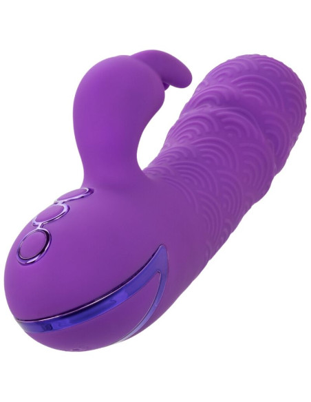 CALEXOTICS MANHATTAN BEACH MARVEL VIBRADOR RABBIT MORADO BY CALIFORNIA DREAMING CALEXOTICS MANHATTAN BEACH MARVEL VIBRADOR RABBIT MORADO BY CALIFORNIA DREAMING