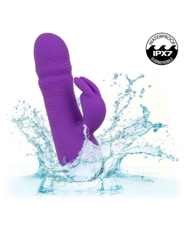CALEXOTICS MANHATTAN BEACH MARVEL VIBRADOR RABBIT MORADO BY CALIFORNIA DREAMING