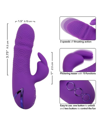 CALEXOTICS MANHATTAN BEACH MARVEL VIBRADOR RABBIT MORADO BY CALIFORNIA DREAMING