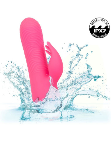 CALEXOTICS SACRAMENTO SWEETIE VIBRADOR RABBIT ROSA BY CALIFORNIA DREAMING