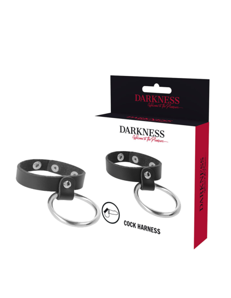 DARKNESS ANILLO DE METAL PARA EL PENE Y TESTICULOS