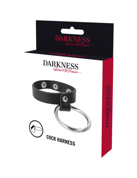 DARKNESS ANILLO DE METAL PARA EL PENE Y TESTICULOS