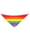 PRIDE PAAUELO ALGODAN TRIANGULAR BANDERA ARCOARIS