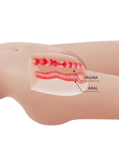 CRAZY BULL MIA TORSO FEMENINO REALISTA VAGINA Y ANAL 85 KG CRAZY BULL MIA TORSO FEMENINO REALISTA VAGINA Y ANAL 85 KG