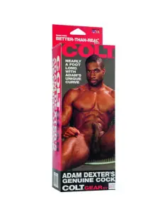 CALEXOTICS COLT PENE REALISTICO ADAM DEXTER 2