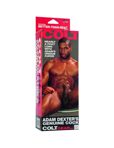 CALEXOTICS COLT PENE REALISTICO ADAM DEXTER