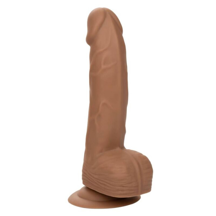CALEXOTICS SILICONE STUDS 1524 CM BROWN