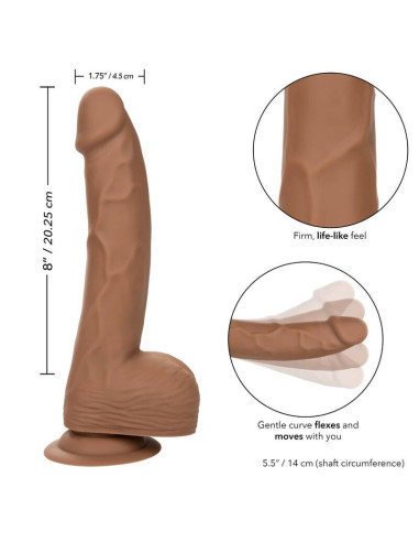 CALEXOTICS SILICONE STUDS 2032 CM BROWN
