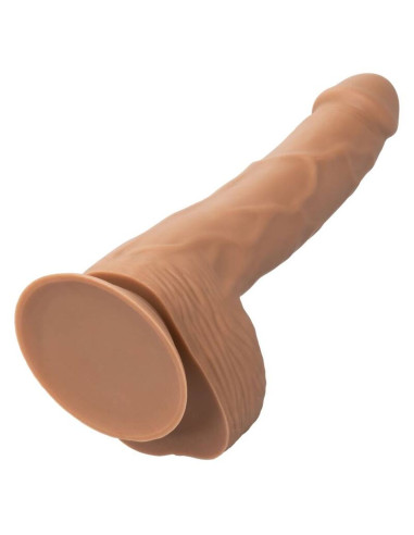CALEXOTICS SILICONE STUDS 2032 CM BROWN