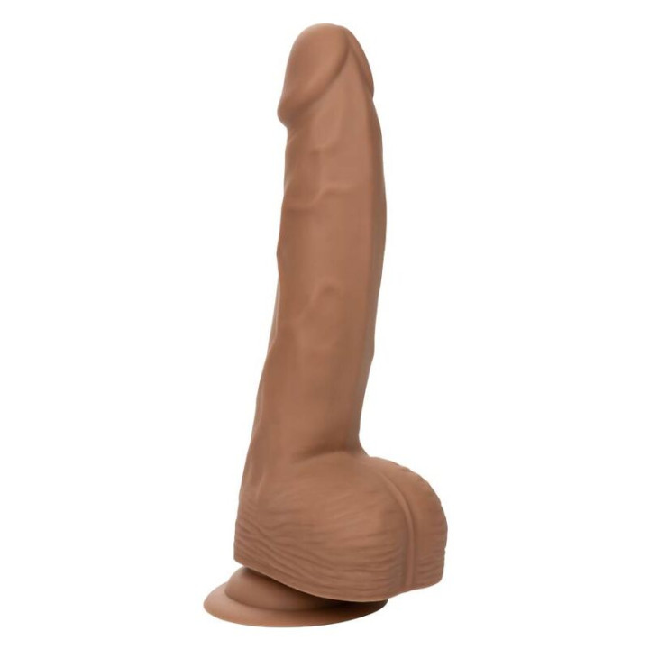 CALEXOTICS SILICONE STUDS 2032 CM BROWN