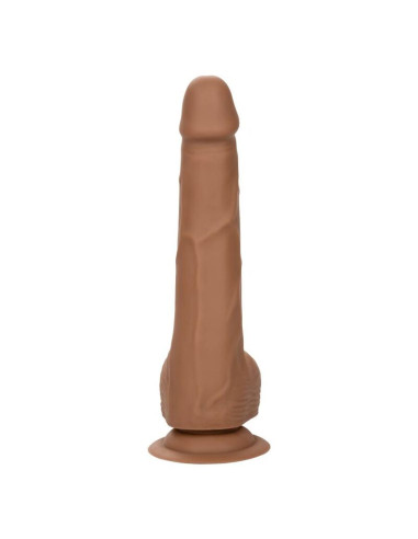 CALEXOTICS SILICONE STUDS 2032 CM BROWN