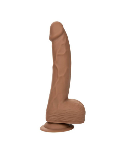 CALEXOTICS SILICONE STUDS 2032 CM BROWN
