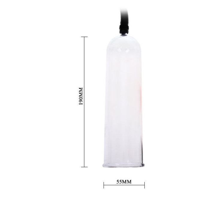 BAILE PRECISION PUMP WITH ERECTION ENHANCER