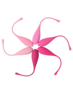 LESLIE KEGEL FIT ENTREGADOR SUELO PELVICO 6 PESOS 2