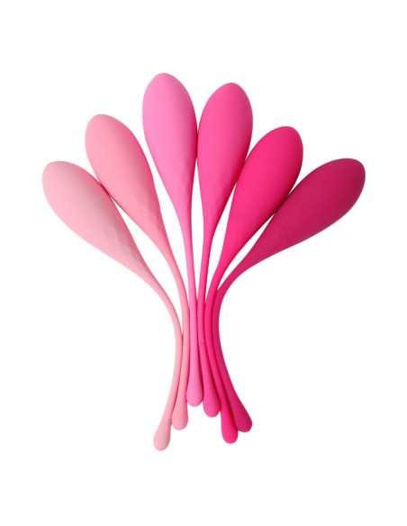 LESLIE KEGEL FIT ENTREGADOR SUELO PELVICO 6 PESOS