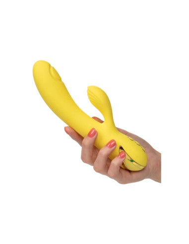 CALEXOTICS SAN DIEGO SEDUCTION