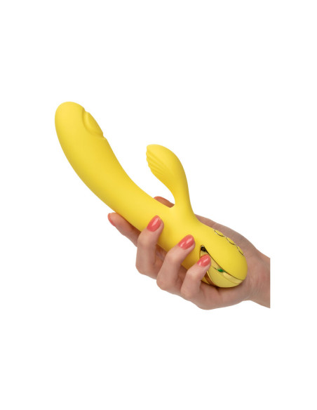 CALEXOTICS SAN DIEGO SEDUCTION CALEXOTICS SAN DIEGO SEDUCTION