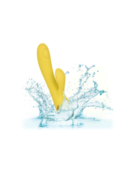 CALEXOTICS SAN DIEGO SEDUCTION CALEXOTICS SAN DIEGO SEDUCTION