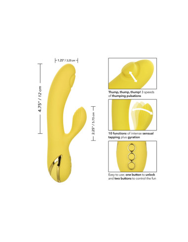 CALEXOTICS SAN DIEGO SEDUCTION