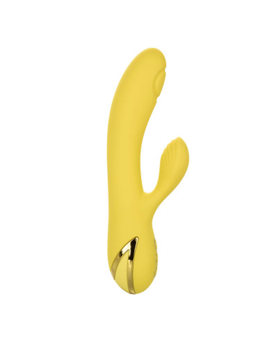 CALEXOTICS SAN DIEGO SEDUCTION