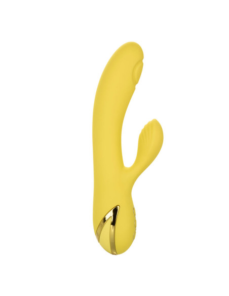 CALEXOTICS SAN DIEGO SEDUCTION CALEXOTICS SAN DIEGO SEDUCTION