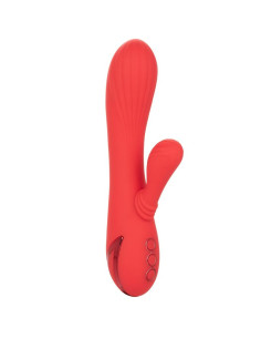 CALEXOTICS PALISADES PASSION RED