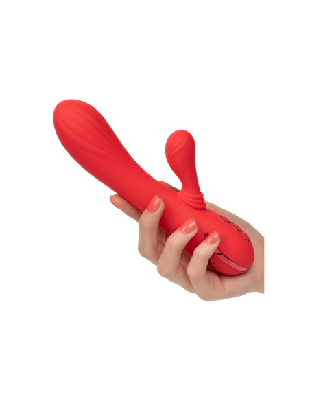 CALEXOTICS PALISADES PASSION RED CALEXOTICS PALISADES PASSION RED