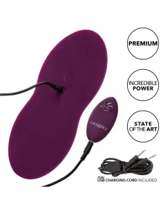 CALEXOTICS REMOTE CONTROL DUAL RIDER