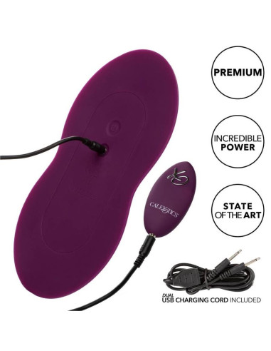 CALEXOTICS REMOTE CONTROL DUAL RIDER