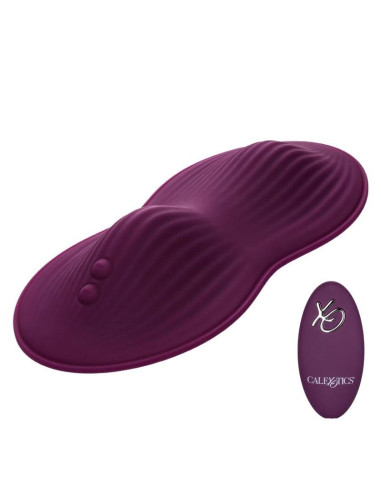 CALEXOTICS REMOTE CONTROL DUAL RIDER