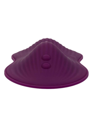 CALEXOTICS REMOTE CONTROL DUAL RIDER