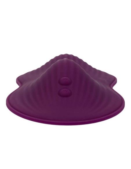 CALEXOTICS REMOTE CONTROL DUAL RIDER CALEXOTICS REMOTE CONTROL DUAL RIDER