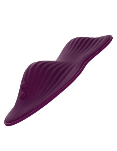 CALEXOTICS REMOTE CONTROL DUAL RIDER