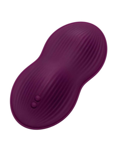 CALEXOTICS REMOTE CONTROL DUAL RIDER