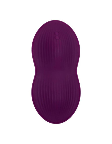 CALEXOTICS REMOTE CONTROL DUAL RIDER